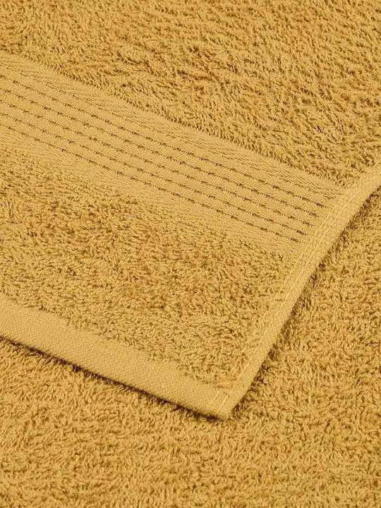 vidaXL Gesichtstuch Goldene 2 Stück