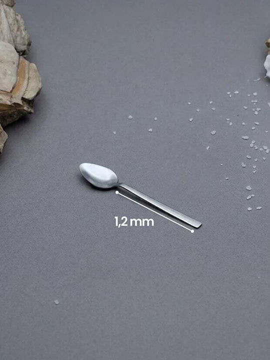 SteweHome Set Linguri Cafea Ceai Inox Argintii 6 Bucăți