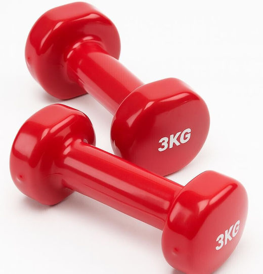 Αθλοπαιδιά Βαράκι Βινυλίου 1 x 3kg
