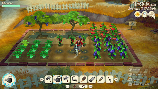 Story of Seasons: Grand Bazaar PS5 Game