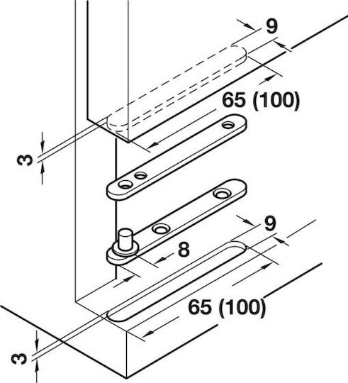 Balamale Pivot Set-2 Bucăți 180° 65mm Hafele 361.03.511 Argintiu 20kg
