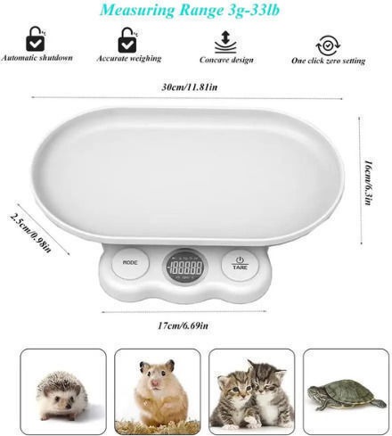 SPV Scale