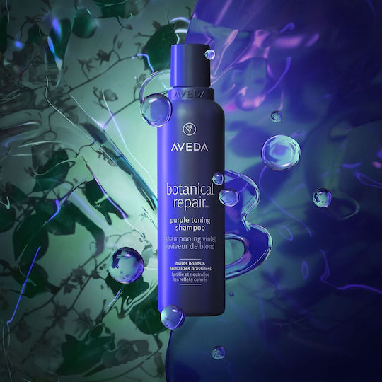 Aveda Botanical Σαμπουάν Αναδόμησης/Θρέψης για Ταλαιπωρημένα Μαλλιά 1000ml