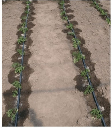 Eurodrip Ø20/75 Drip Pipe Ø20 300m