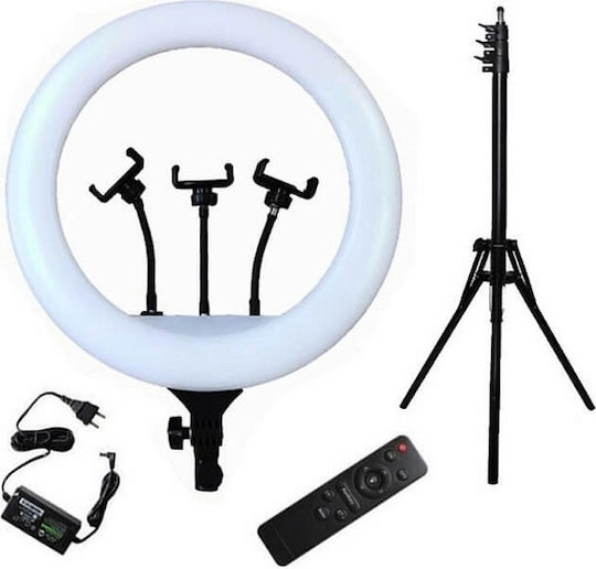 Ring Light 43cm με Τρίποδο Δαπέδου και Βάση για Κινητό