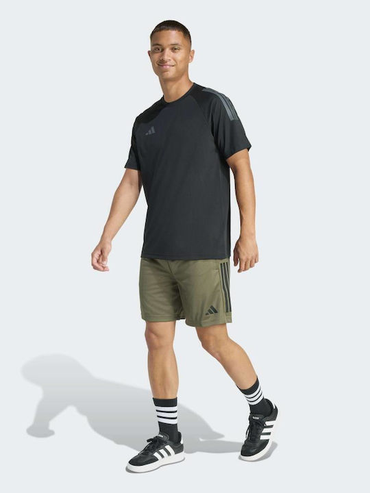 3-Stripes Herren Sport Shorts Grün