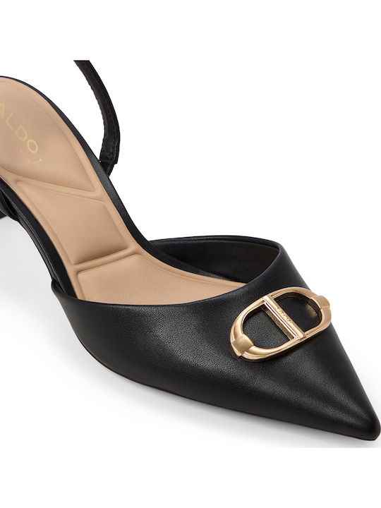 Aldo Aldo