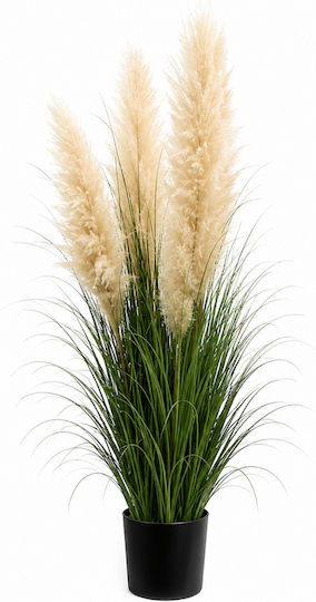 Τεχνητό Διακοσμητικό Pampas Grass Γλάστρα 150cm