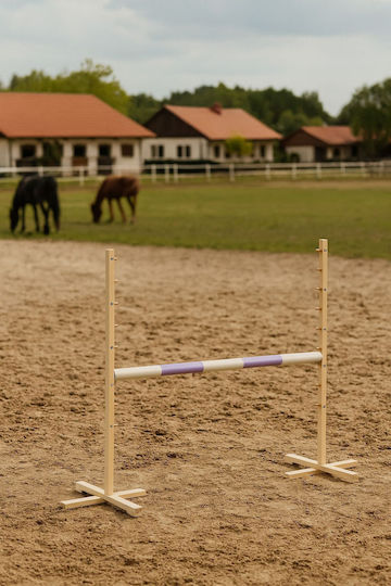 Super Hobby Horse Παιχνίδι Hobby Horse