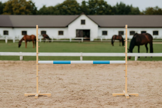 Super Hobby Horse Παιχνίδι Hobby Horse