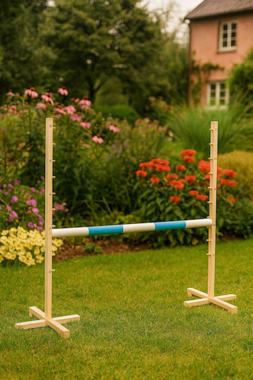 Super Hobby Horse Παιχνίδι Hobby Horse