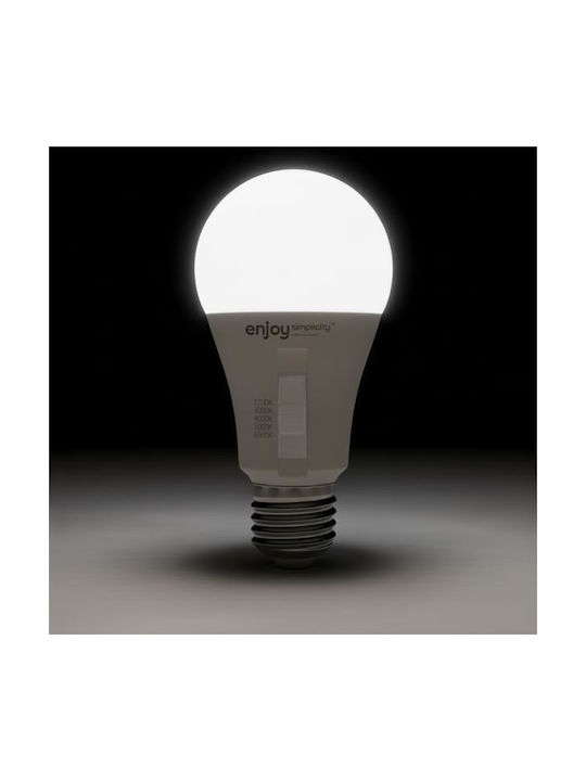 Elvhx LED Spot with 10 Lights