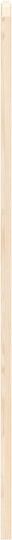Vidaxl Doors Swing Natural 100 x 40 cm Solid Pine Wood