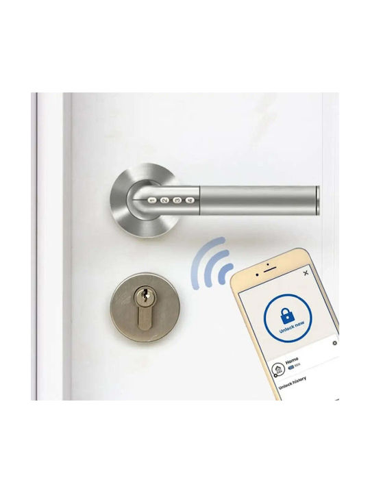Intesa Middle Door Lever With Silver Rosette