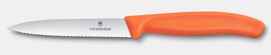 Victorinox Swiss Classic Knife General Use from Stainless Steel 10cm