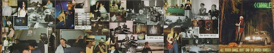 Whale All Disco Dance Must End In Broken Bones Cd