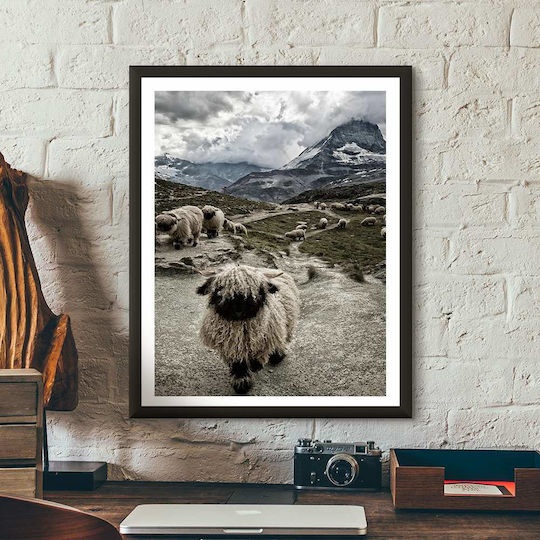 Poster Sheep Pst25129 40cm X 50cm Premium Black Wooden Frame