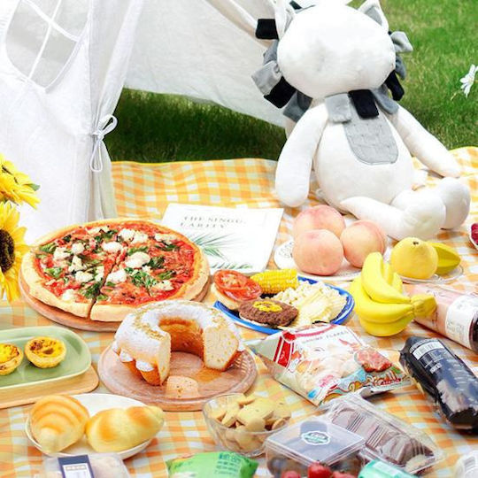 Picnic Blanket Handbag Type Foldable Waterproof Beach Camping 100x150cm Yellow-white