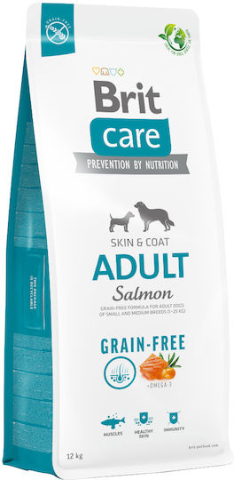 Brit Care Skin & Coat Adult 1kg Dry Food Grain-Free & Gluten-Free for Adult Dogs with Salmon