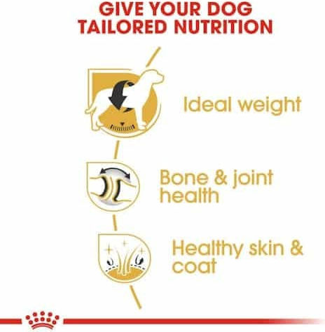 Royal Canin Labrador 12kg Ξηρά Τροφή για Ενήλικους Σκύλους