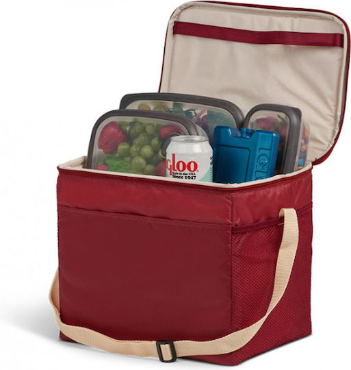 Igloo Insulated Handbag