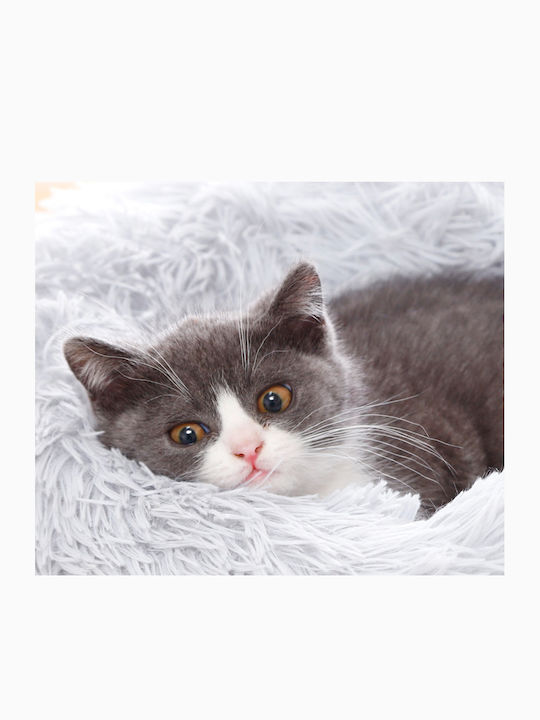 Aster Star Gray Dog Bed Couch