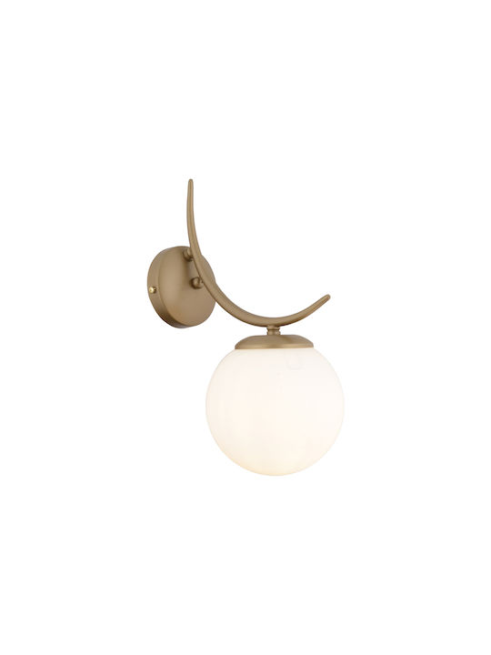 SteweHome Modern Wall Lamp Brown