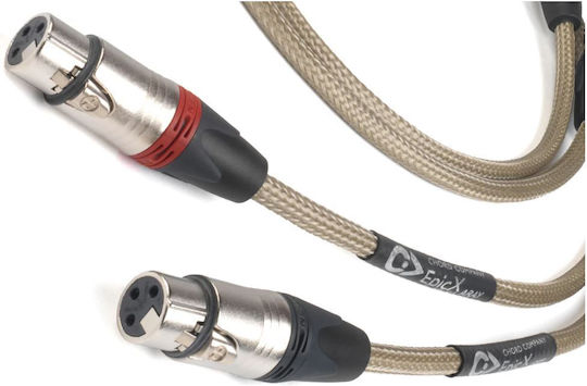 Chord Aray Cable XLR male - Μαύρο 1m