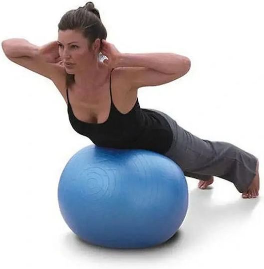 14172 Μπάλα Pilates 65cm σε Ασημί Χρώμα