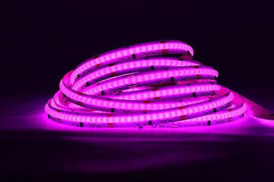 VK Lighting Waterproof 24V RGB Light 10m COB Type LED Strip