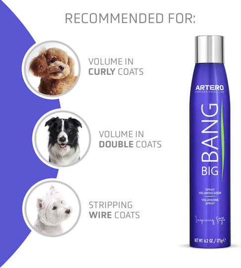 Professionelles Finish-Spray Artero Big Bang 300ml