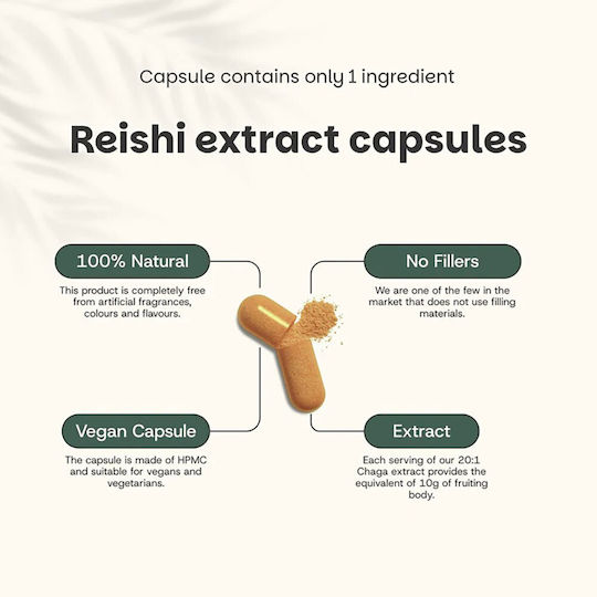 Cupplement Organic Reishi Extract 400mg 60 κάψουλες