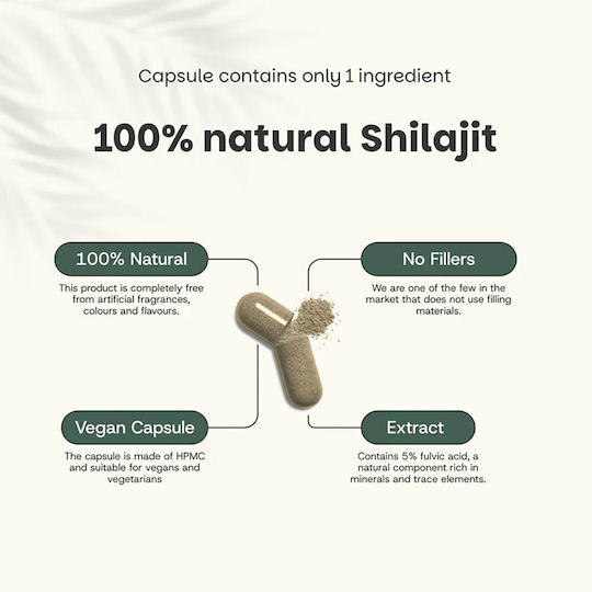 Cupplement Shilajit Extract 60 κάψουλες Natural
