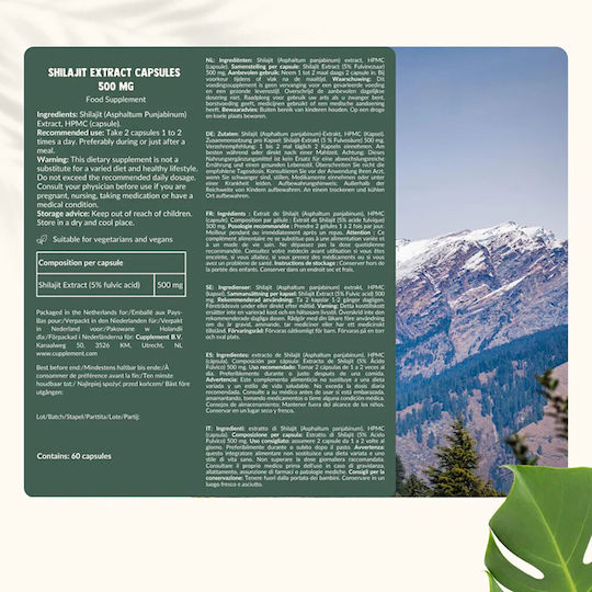 Cupplement Shilajit Extract 60 κάψουλες Natural