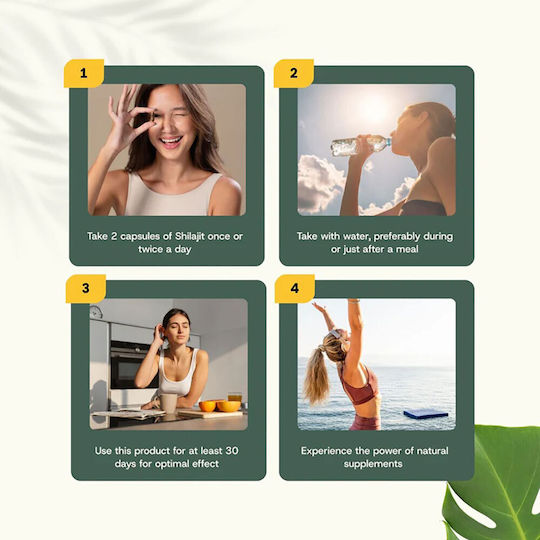 Cupplement Shilajit Extract 60 κάψουλες Natural