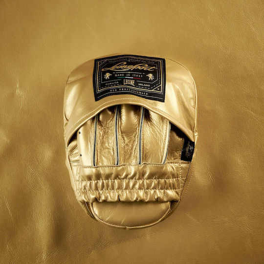 Leone Martial Arts Hand Targets 2 Pieces Gold