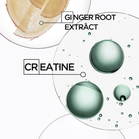 Kérastase Genesis Homme Bain De Force Quotidien Σαμπουάν κατά της Τριχόπτωσης για Λεπτά Μαλλιά 250ml