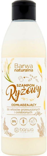 Barwa Rice Σαμπουάν Διατήρησης Χρώματος & Λάμψης για Ξηρά Μαλλιά Μαλλιά 300ml