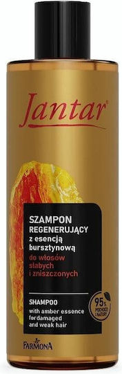 Farmona Shampoos Reconstruction/Nourishment & Shine for Damaged Hair 300ml