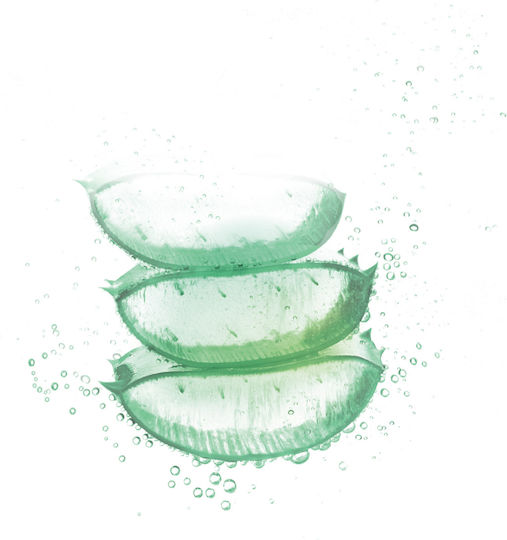 Garnier Fructis Aloe Σαμπουάν Αναδόμησης/Θρέψης & Ενυδάτωσης για Εύθραυστα Μαλλιά 400ml
