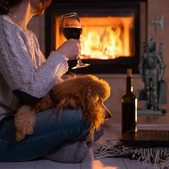Relaxdays Σετ Εργαλείων Τζακιού με Κρεμανταλά Μαύρο