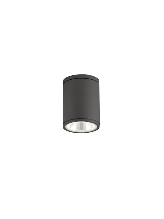 Viokef Roni Plafonieră de Exterior cu LED Integrat în Culoare Negru 4243000