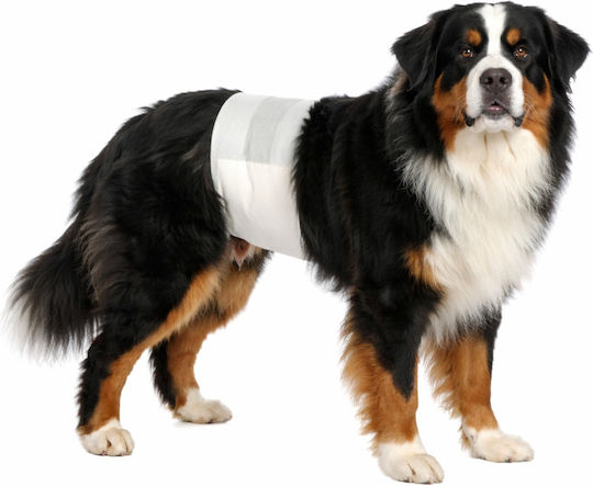 Clean Pets Bodenwindeln Für Hunde 12 Stück