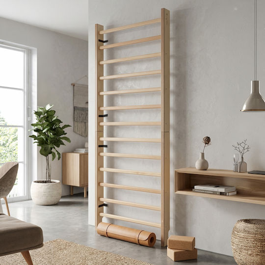 inSPORTline Wall Pull-Up Bar for User up to 130kg