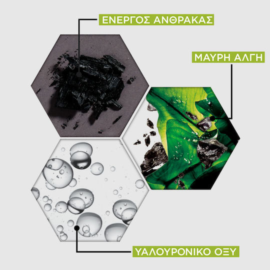 Garnier SkinActive Pure Charcoal Sheet Μάσκα Προσώπου για Καθαρισμό με Ενεργό Άνθρακα 28gr