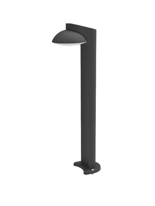 Inlight LED Външна Стойка За Осветление 7W със Студена Бяла Светлина Черна Inlight LED Външна Стойка За Осветление 7W със Студена Бяла Светлина Черна