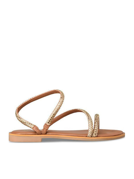 Envie Shoes Envie Shoes