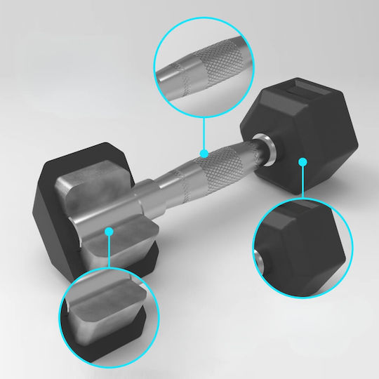 inSPORTline Hexagon Dumbbell Weight 1 x 10kg