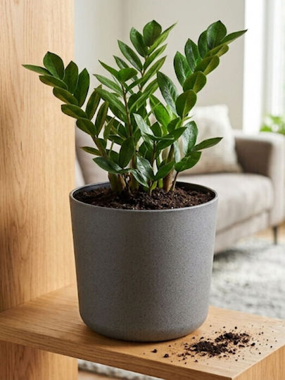 Harmony Alonissos Wooden Flower Pot Anthracite 22x22x20cm