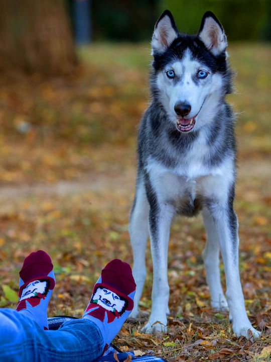 Pirin Hill Kindersocken Mehrfarbige
